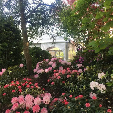 Nordwest-hotel Amsterdam 4* باد سفيشنآن