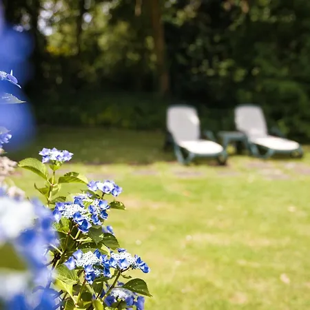 فندق Nordwest-hotel Amsterdam 4*