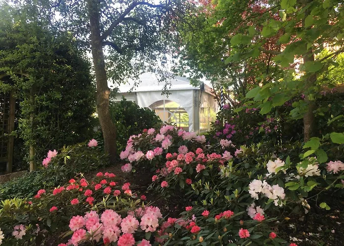 Nordwest-hotel Amsterdam 4* Бад-Цвишенан